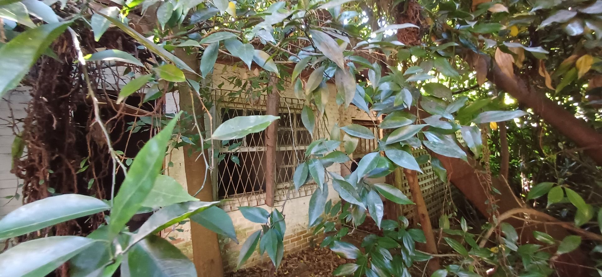 Terreno, 496 m² - Foto 6