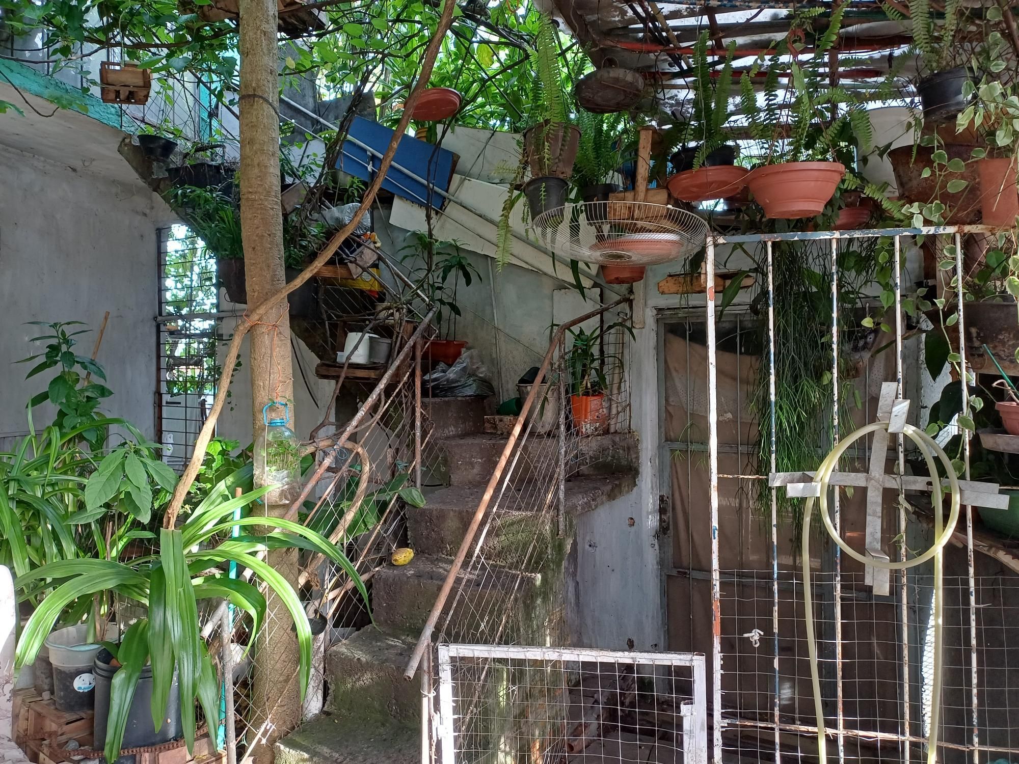 Prédio Inteiro, 300 m² - Foto 3