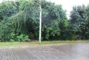 Terreno, 1200 m² - Foto 3