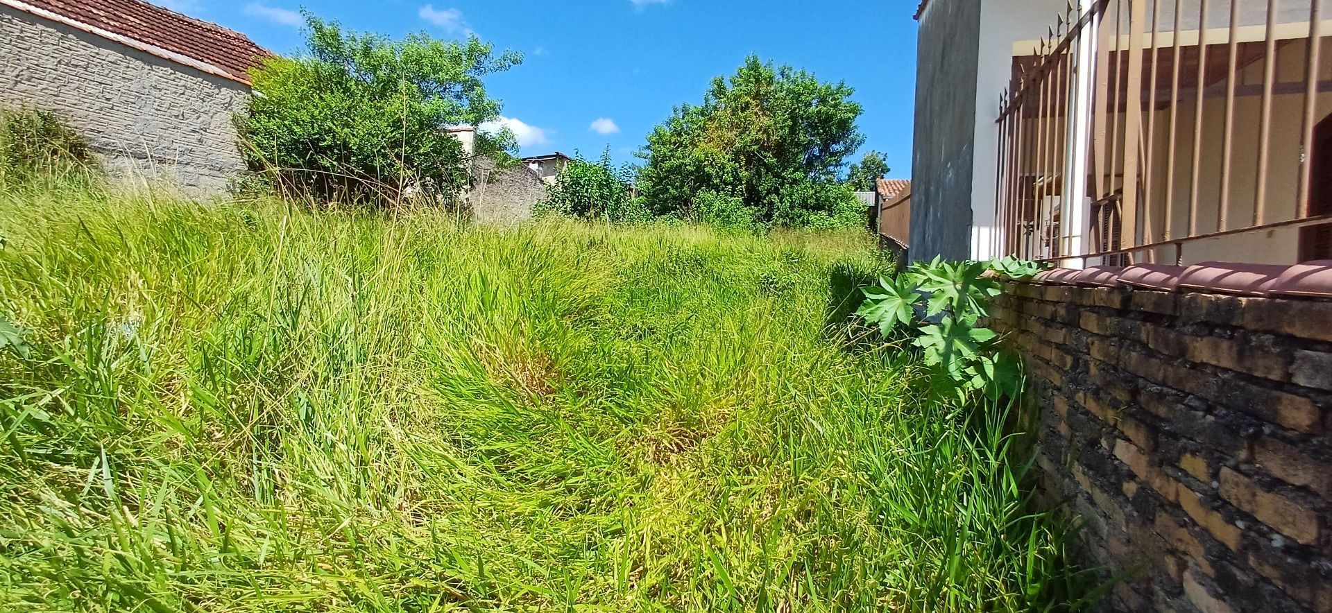 Terreno, 297 m² - Foto 5