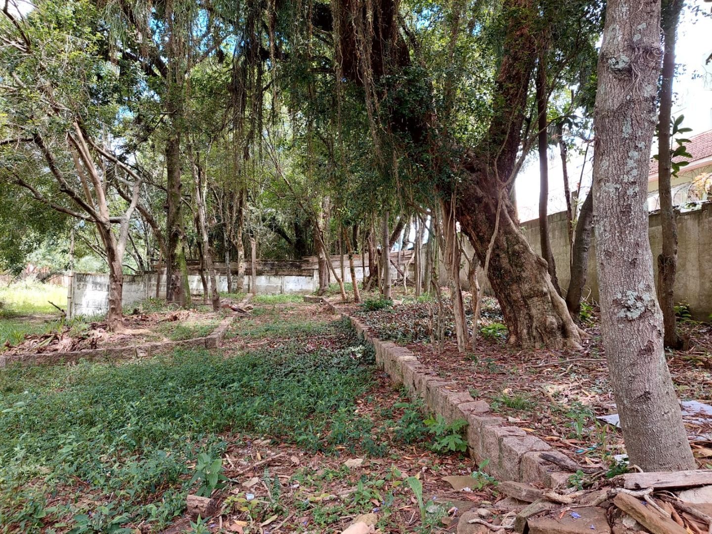 Terreno à venda, 4400m² - Foto 12