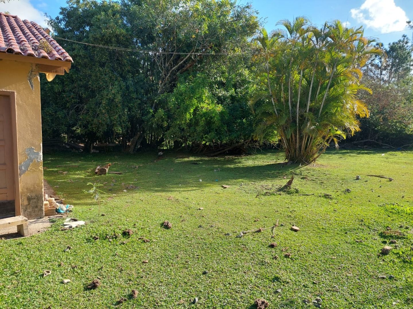 Casa, 4 quartos, 483 m² - Foto 38