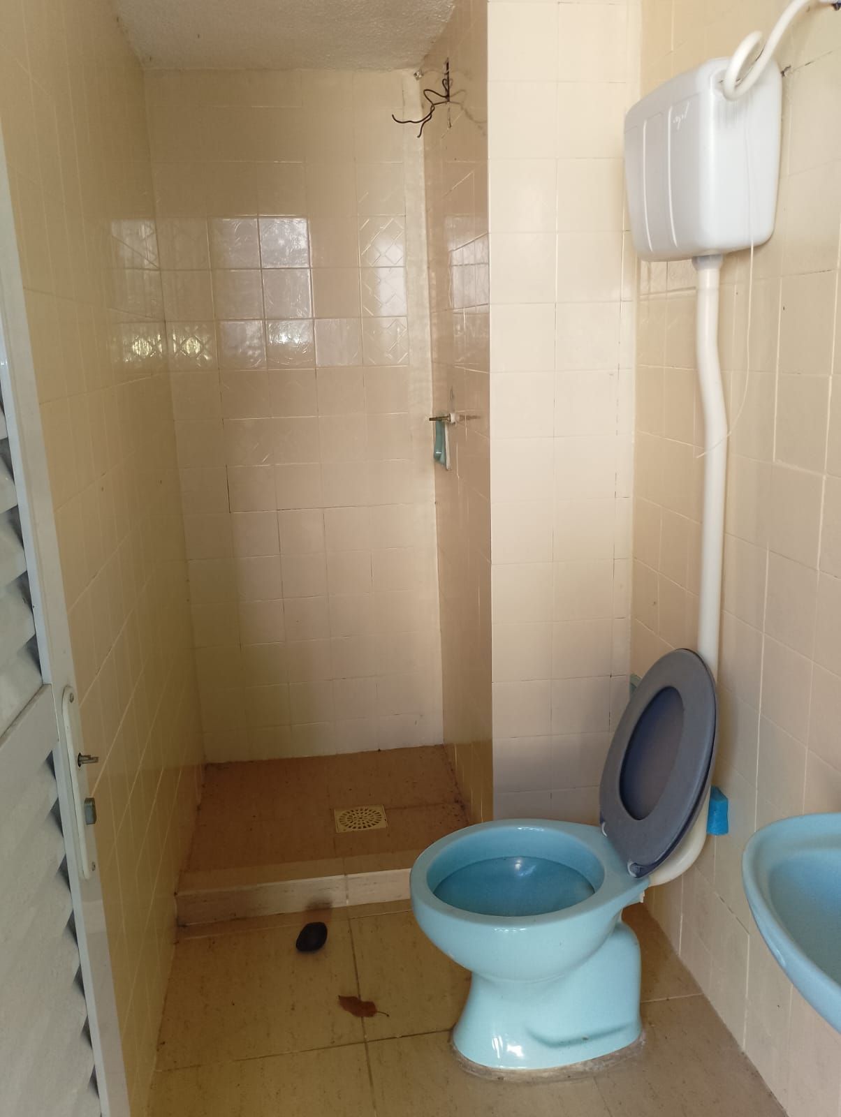 Casa, 6 quartos, 255 m² - Foto 8