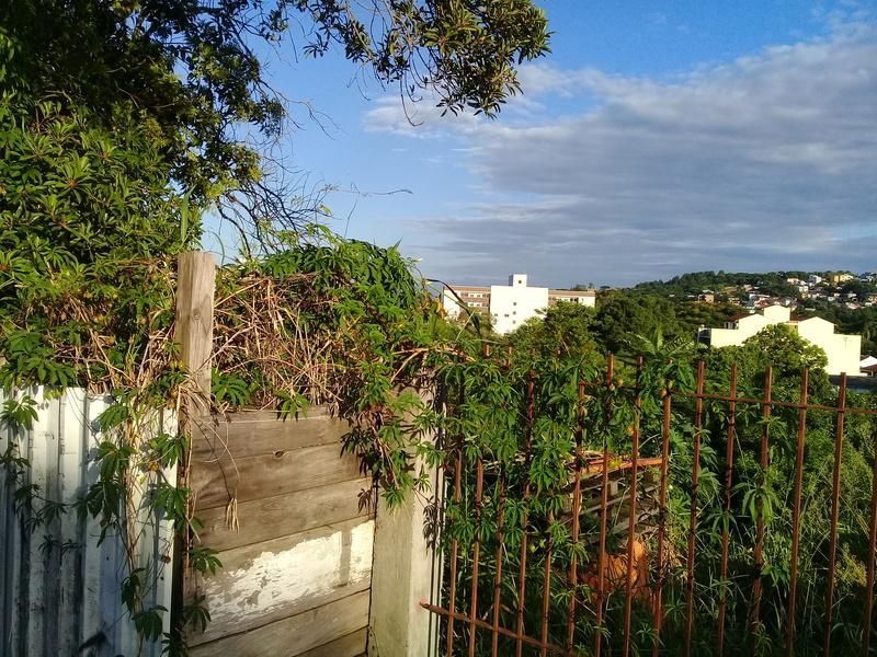 Terreno, 6105 m² - Foto 3