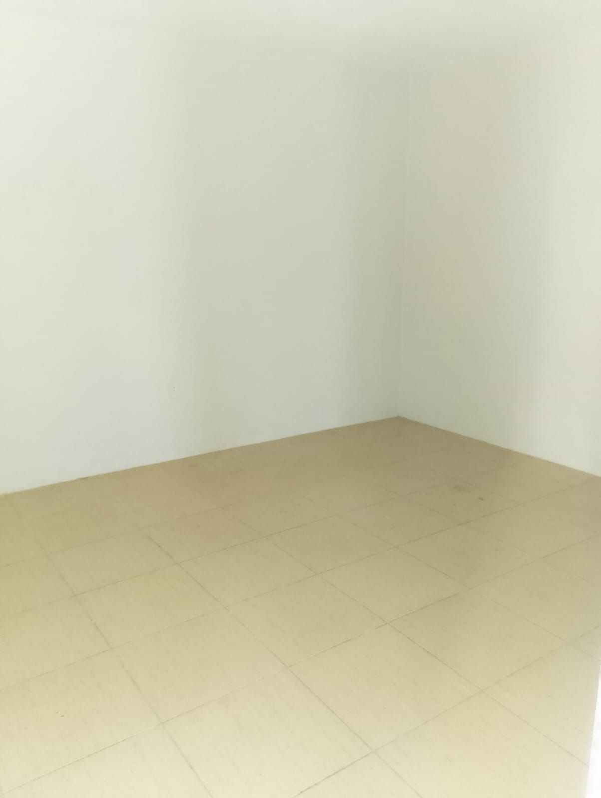 Casa, 6 quartos, 255 m² - Foto 13