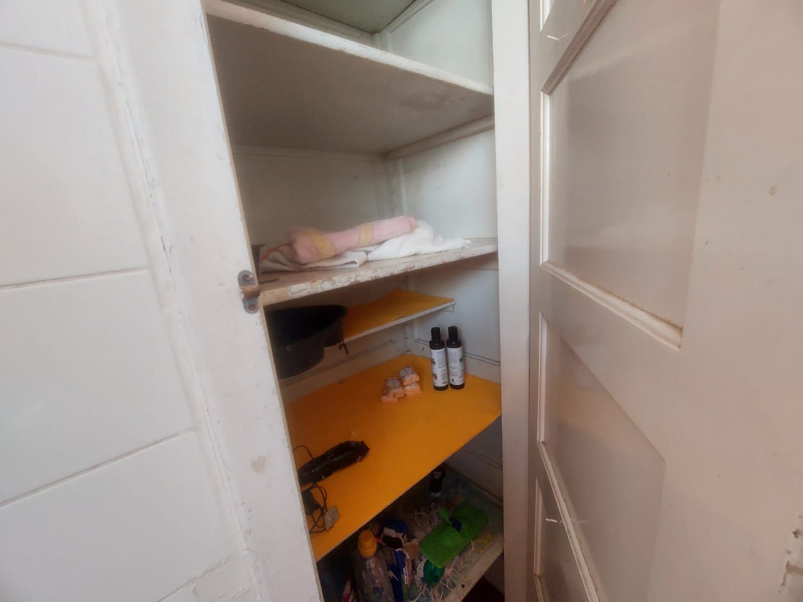 Casa, 4 quartos, 230 m² - Foto 29