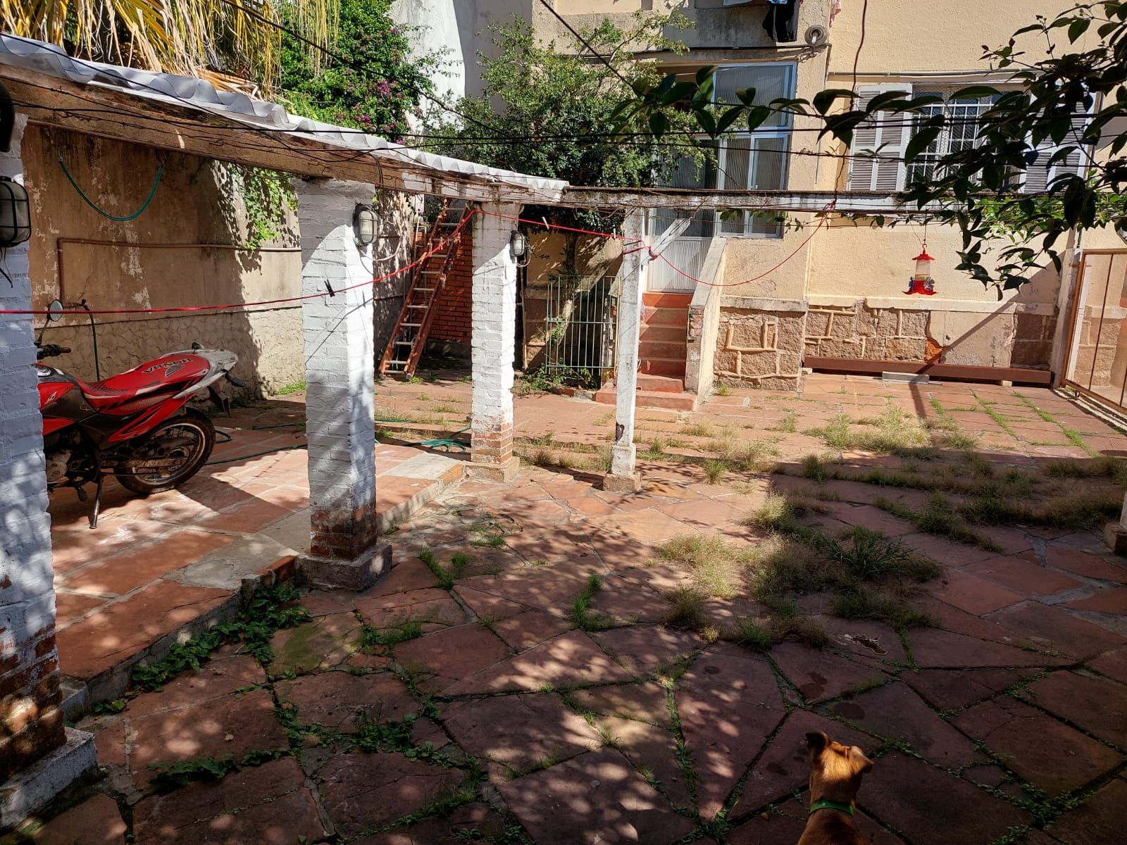 Casa, 4 quartos, 230 m² - Foto 48
