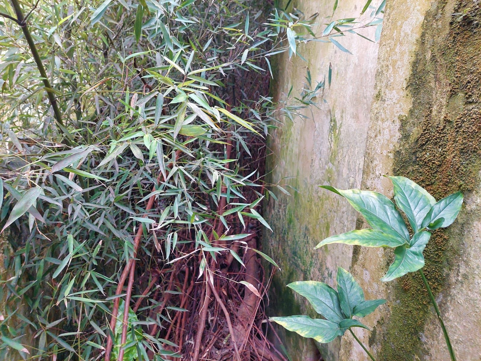 Terreno, 1 m² - Foto 8