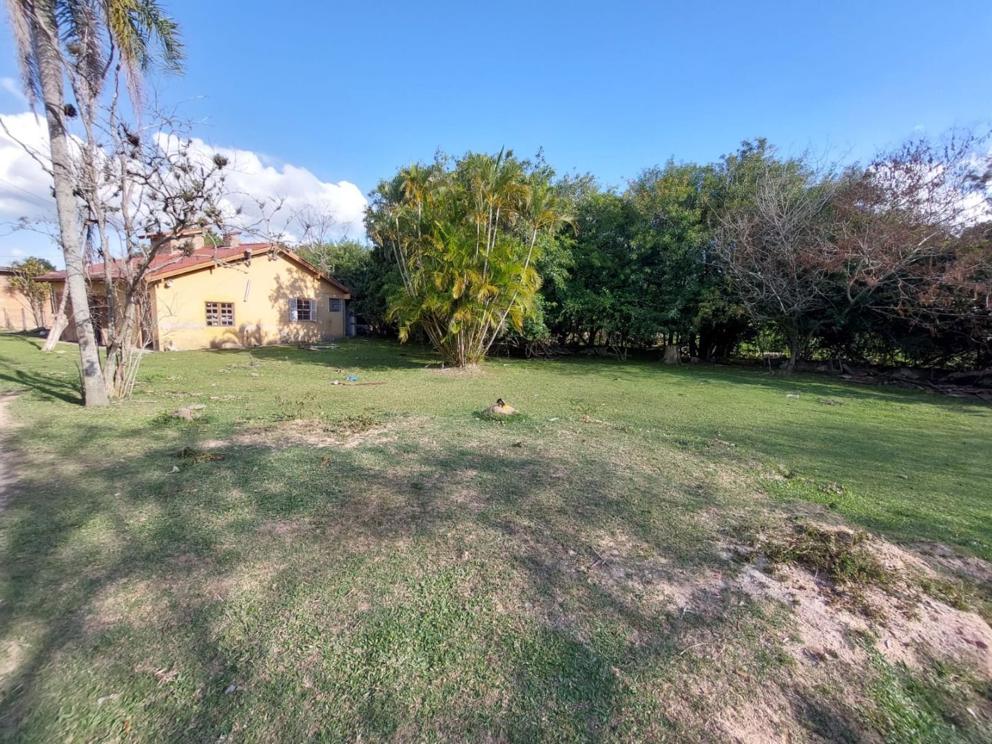 Casa, 4 quartos, 483 m² - Foto 6