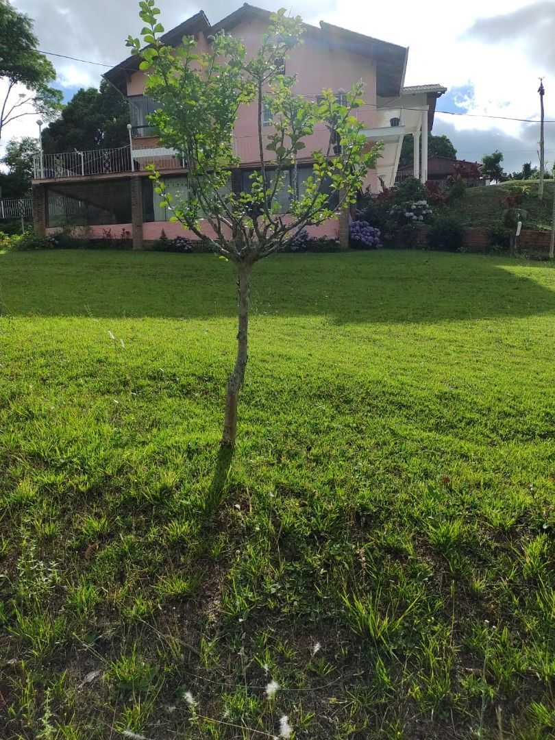 Casa, 4 quartos, 329 m² - Foto 18