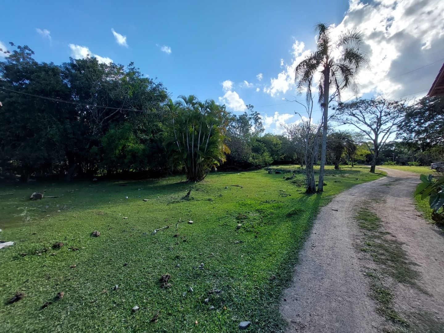 Casa, 4 quartos, 483 m² - Foto 39