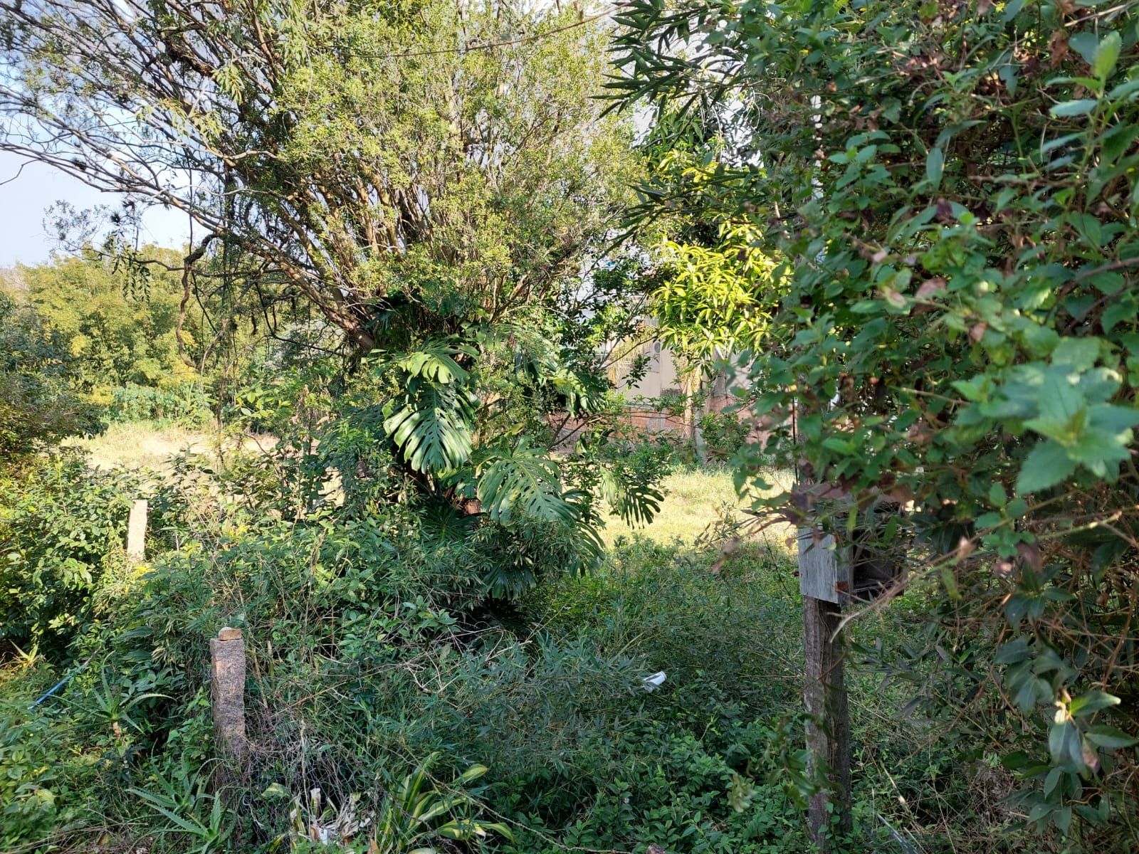 Terreno, 1500 m² - Foto 5