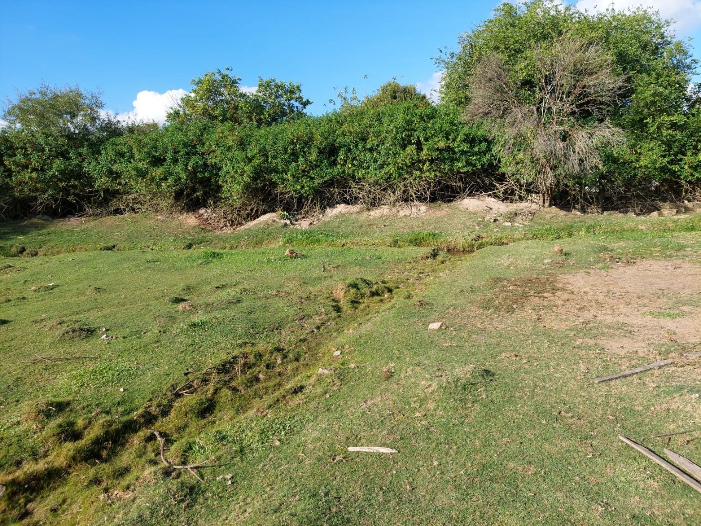 Casa, 4 quartos, 483 m² - Foto 15