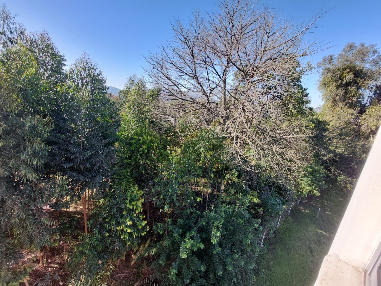 Apartamento, 2 quartos, 34 m² - Foto 19