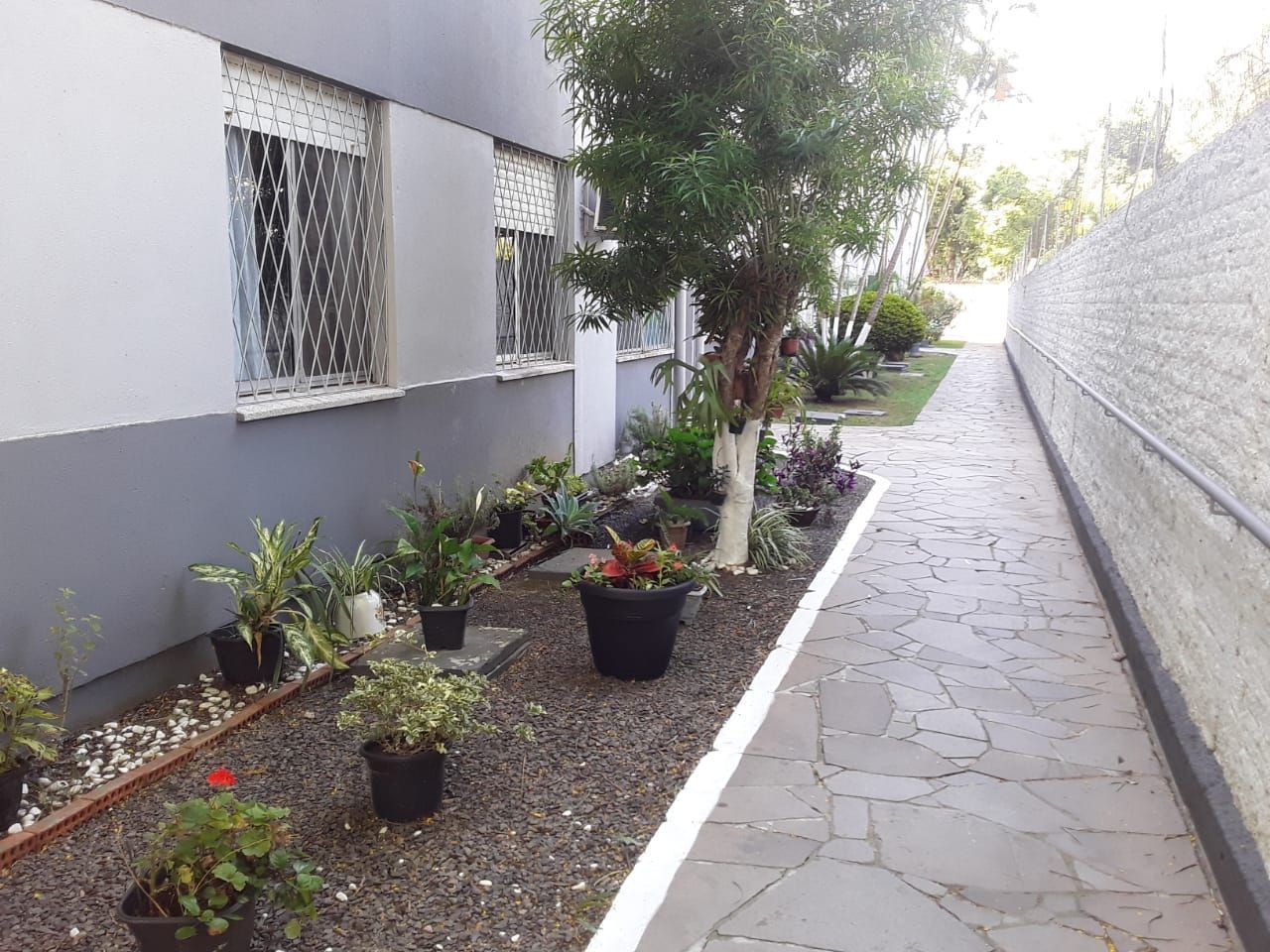 Apartamento, 3 quartos, 66 m² - Foto 3