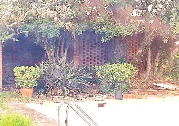 Casa, 5 quartos, 459 m² - Foto 38