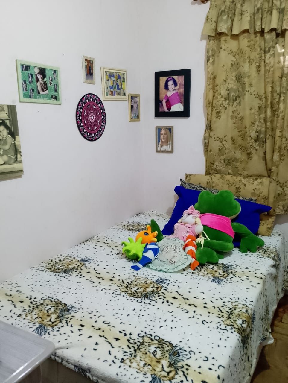 Casa, 6 quartos, 160 m² - Foto 24