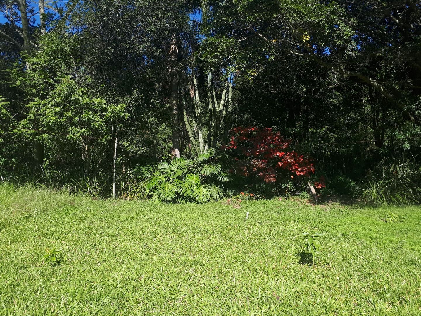 Terreno, 6390 m² - Foto 8