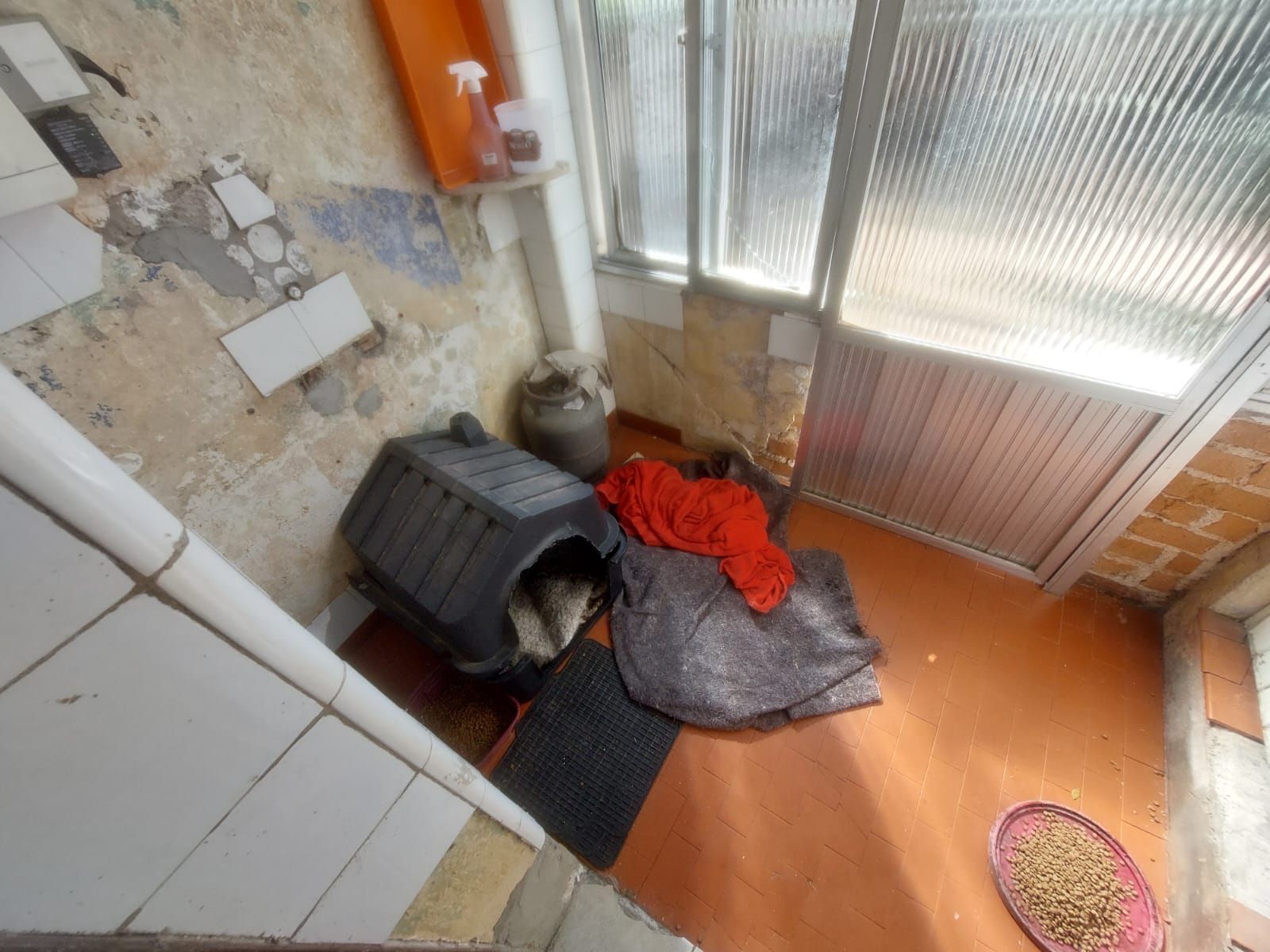 Casa, 4 quartos, 230 m² - Foto 21