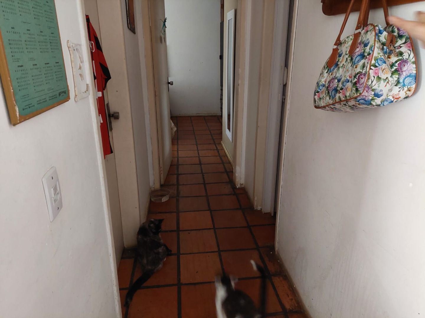 Apartamento à venda com 2 quartos, 61m² - Foto 19