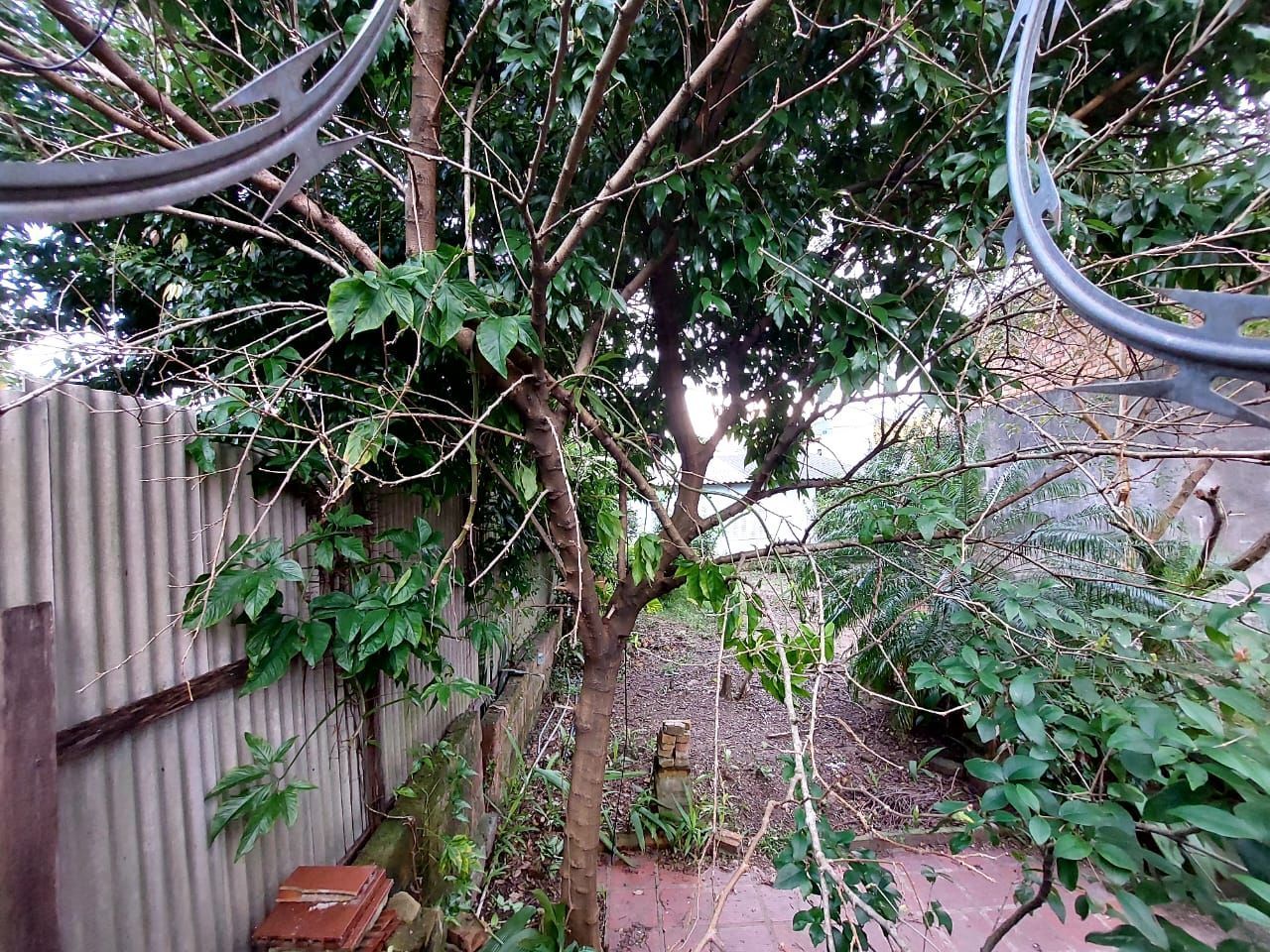 Terreno à venda, 219m² - Foto 4
