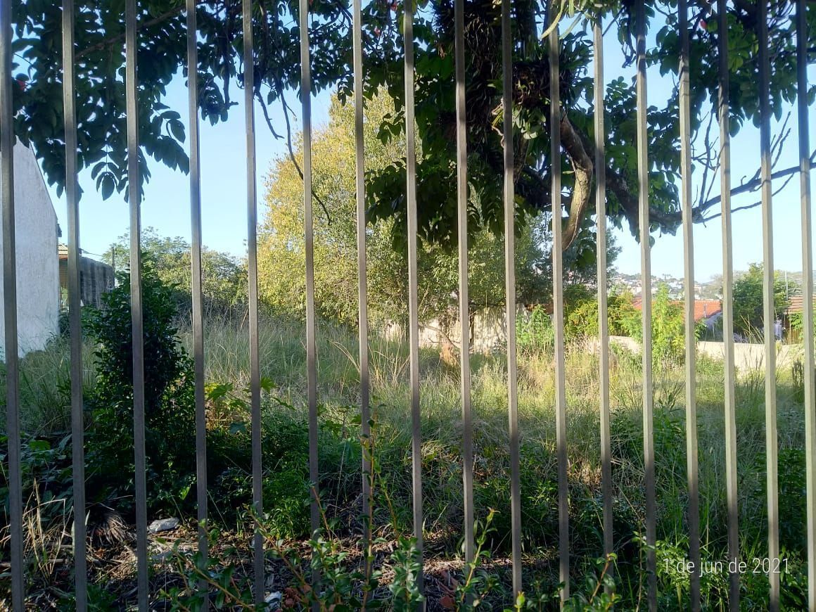 Terreno, 881 m² - Foto 5