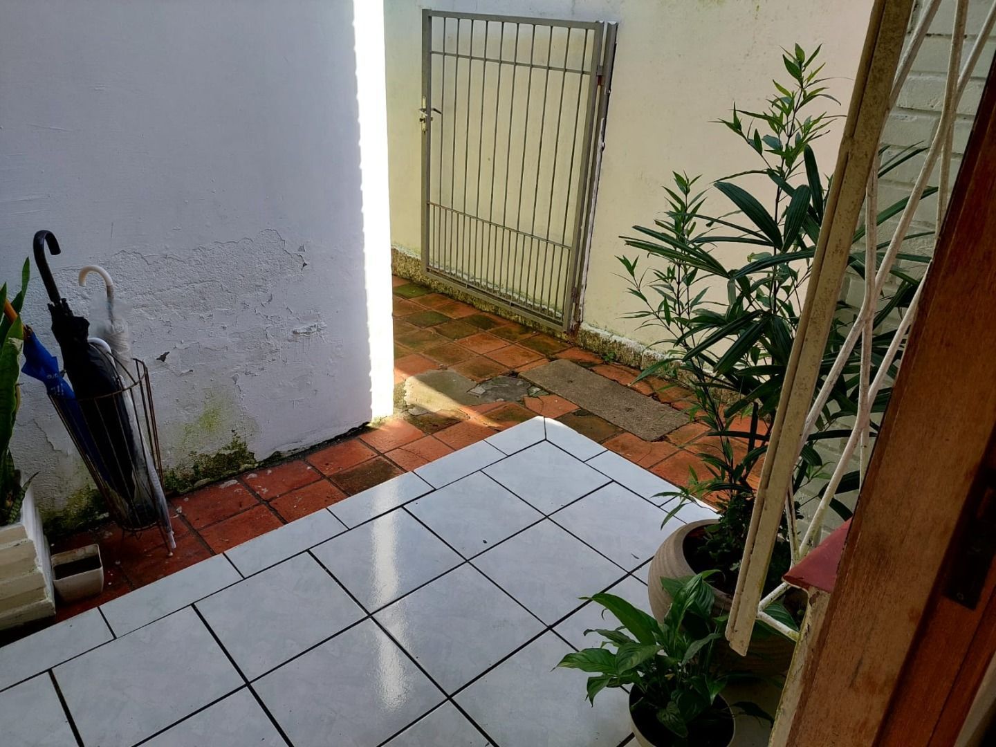 Casa, 5 quartos, 250 m² - Foto 18