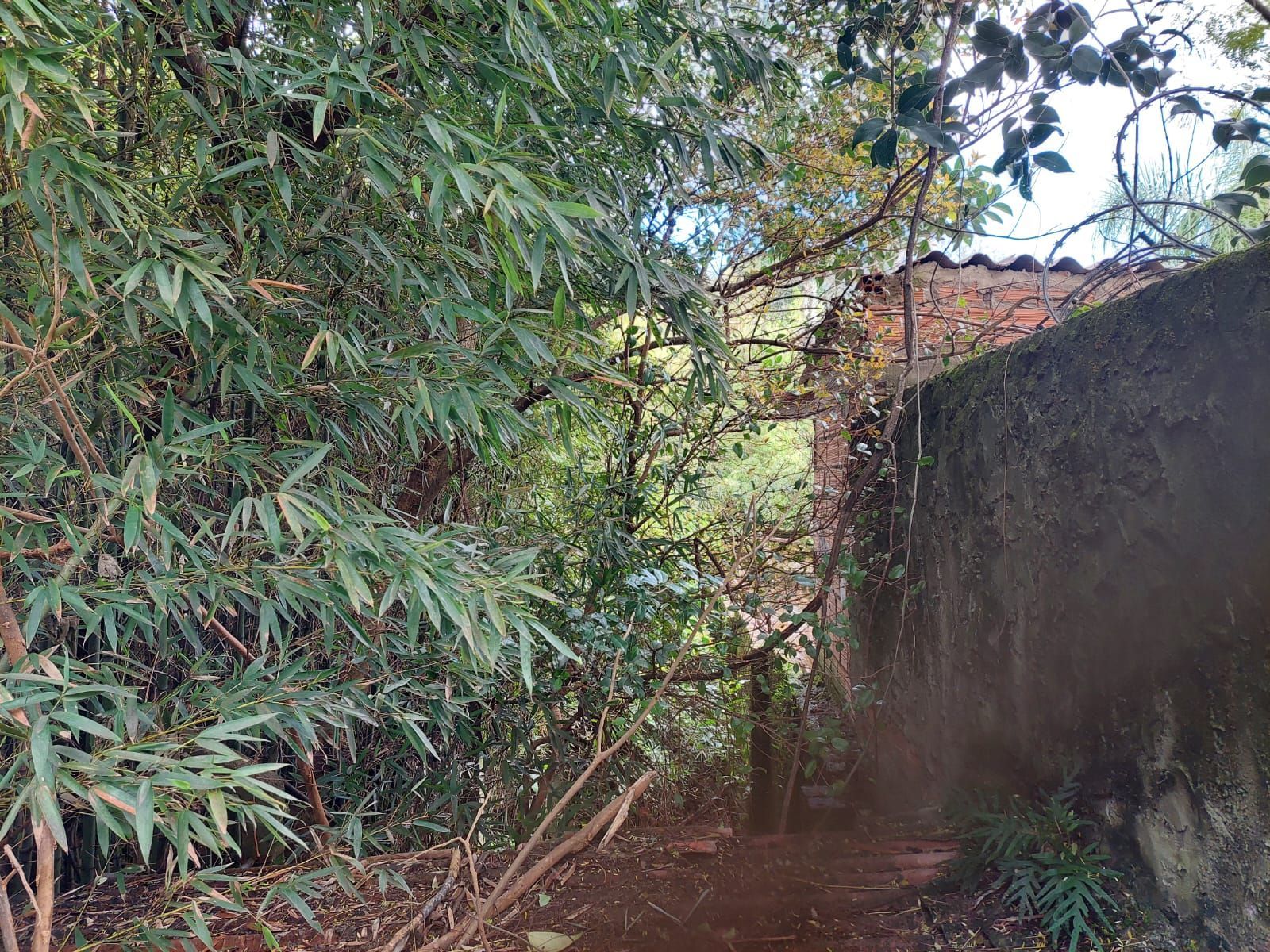 Terreno, 1 m² - Foto 7