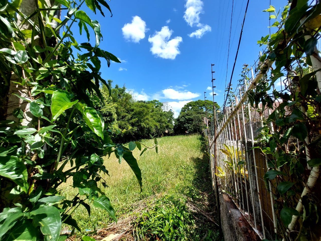 Terreno, 1000 m² - Foto 9