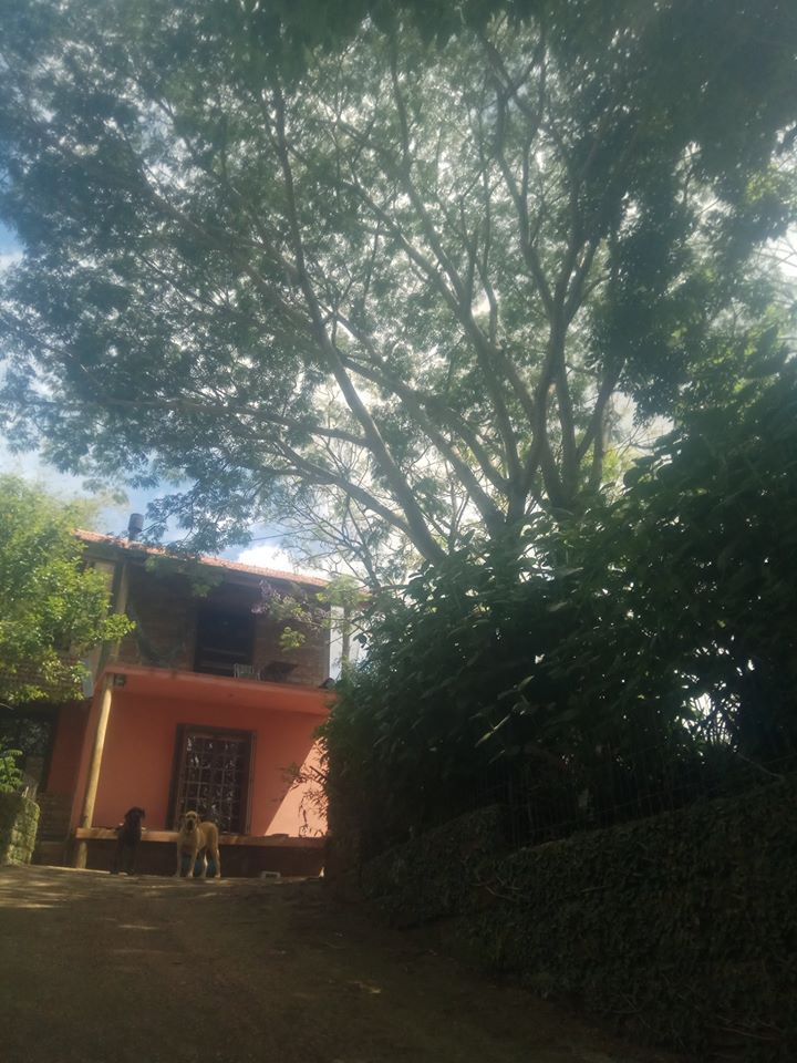 Casa, 3 quartos, 130 m² - Foto 3