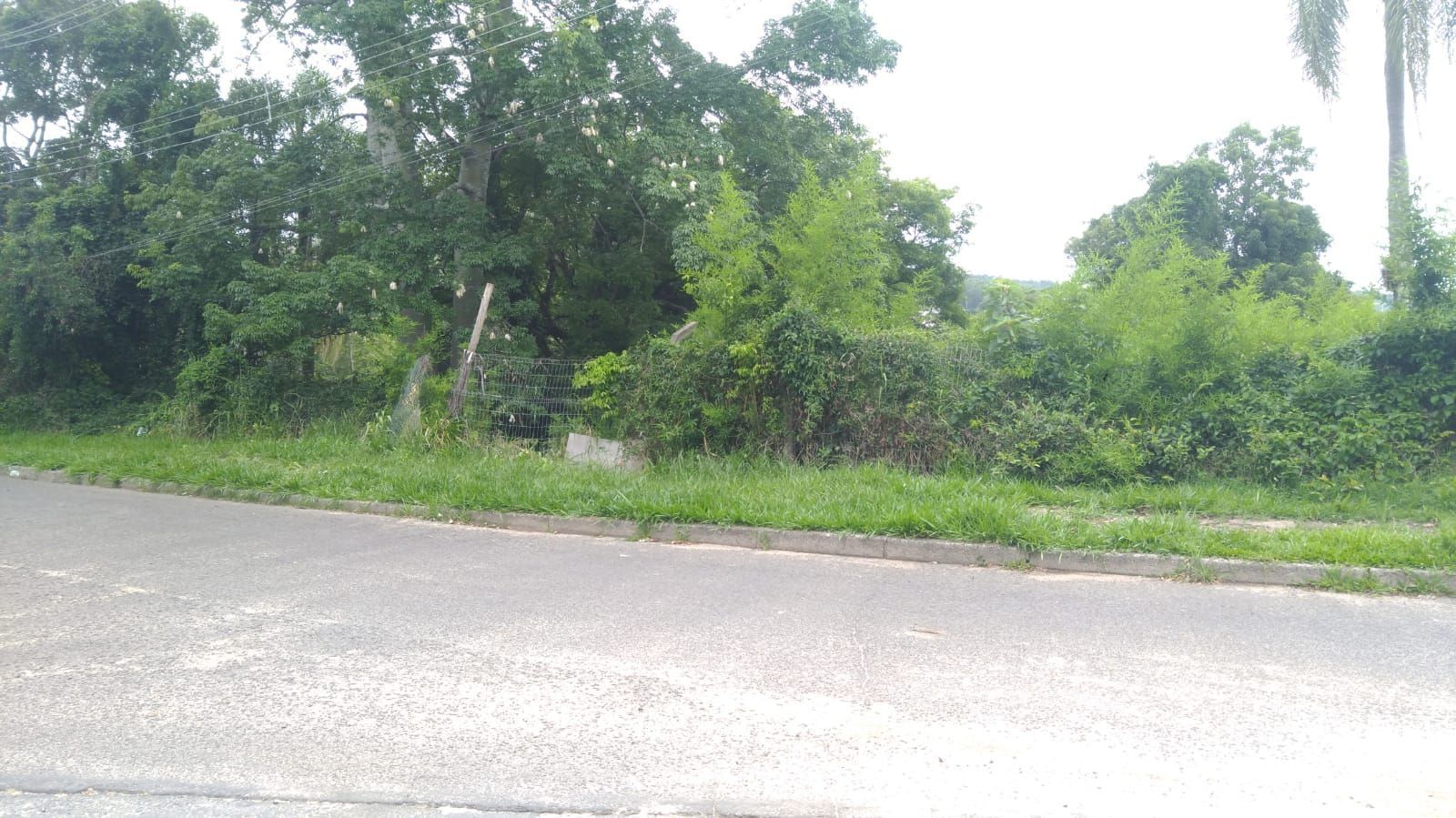 Terreno, 3597 m² - Foto 5