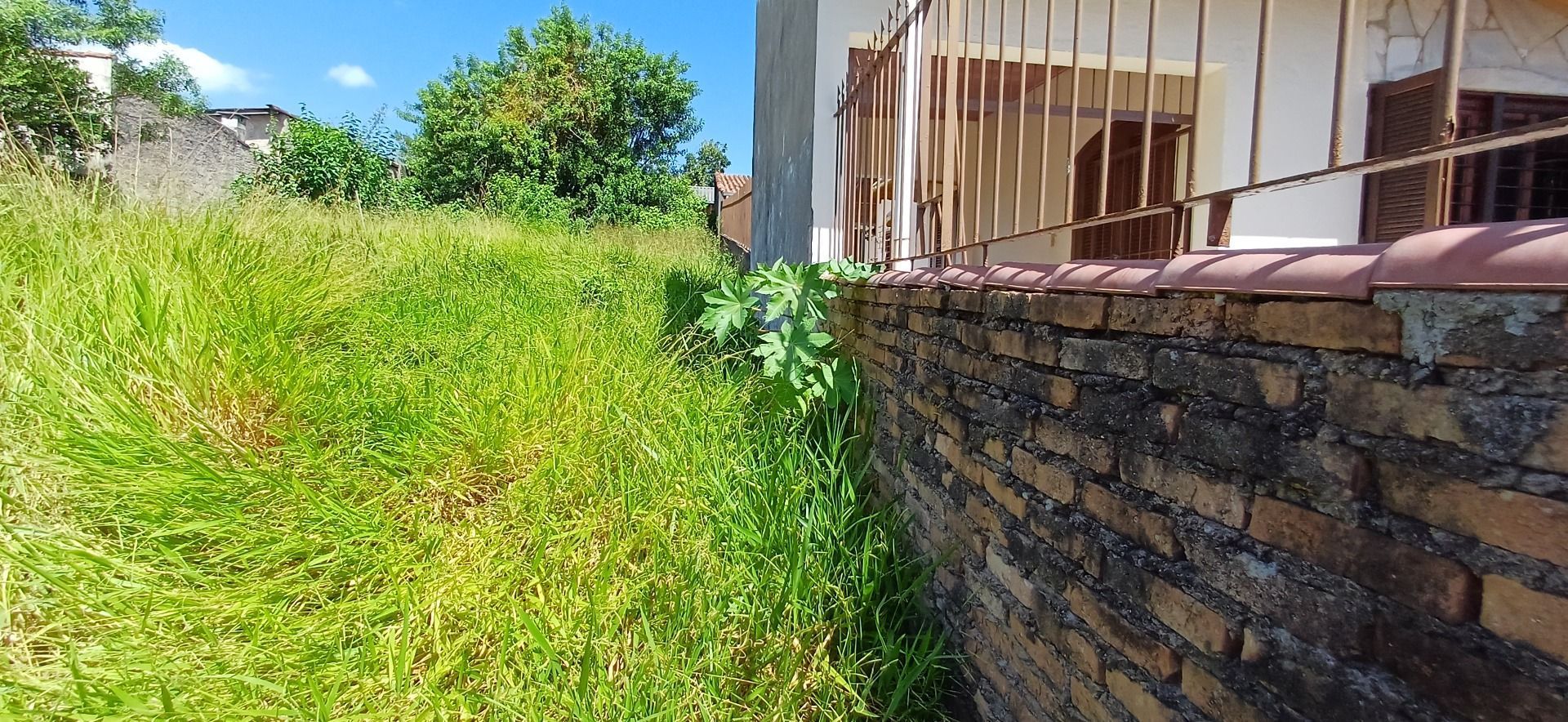 Terreno, 297 m² - Foto 6