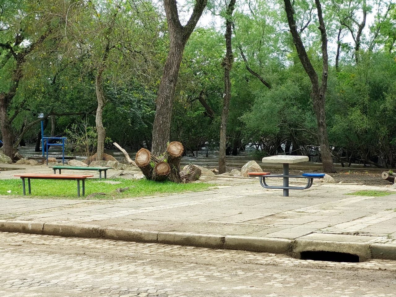 Terreno à venda, 300m² - Foto 5