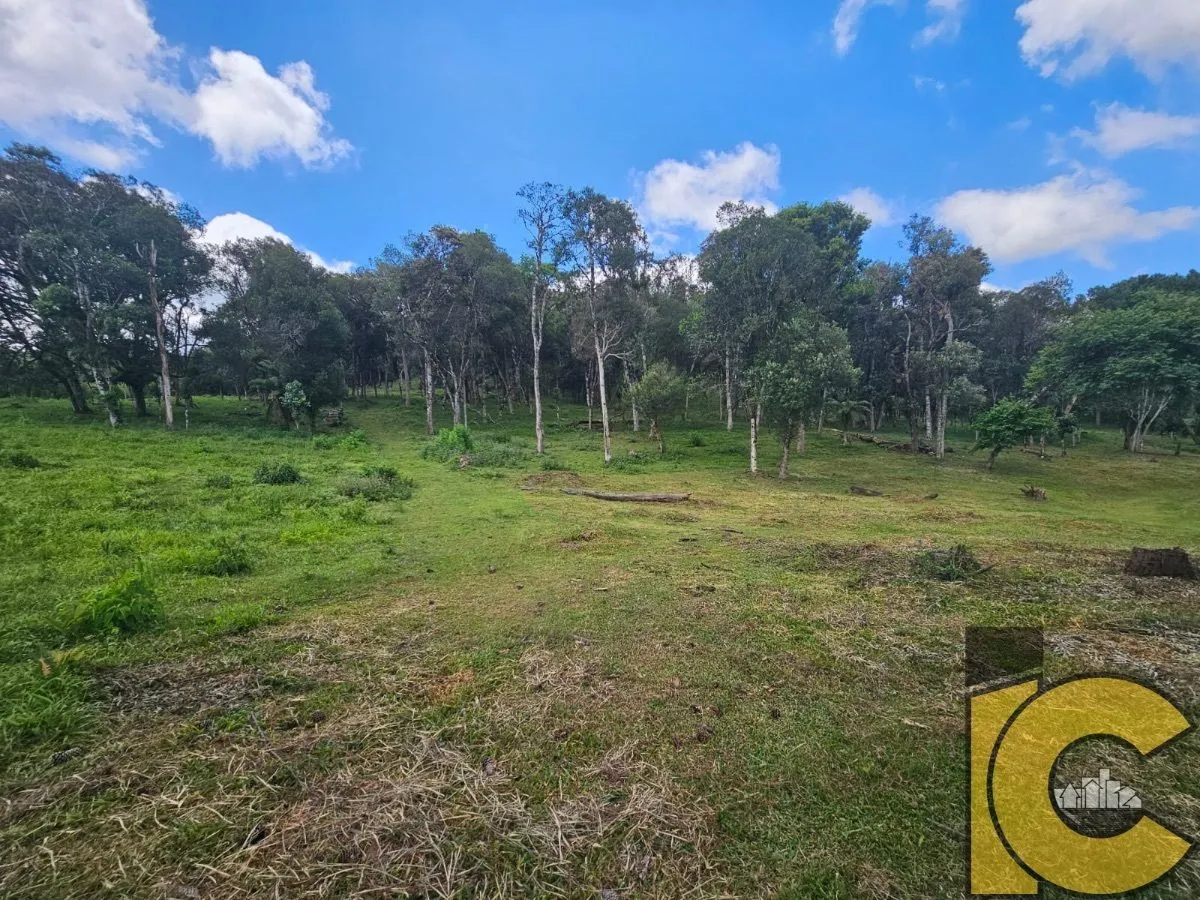 Terreno/Lote à venda  no Brasília - São Bento do Sul, SC. Imóveis
