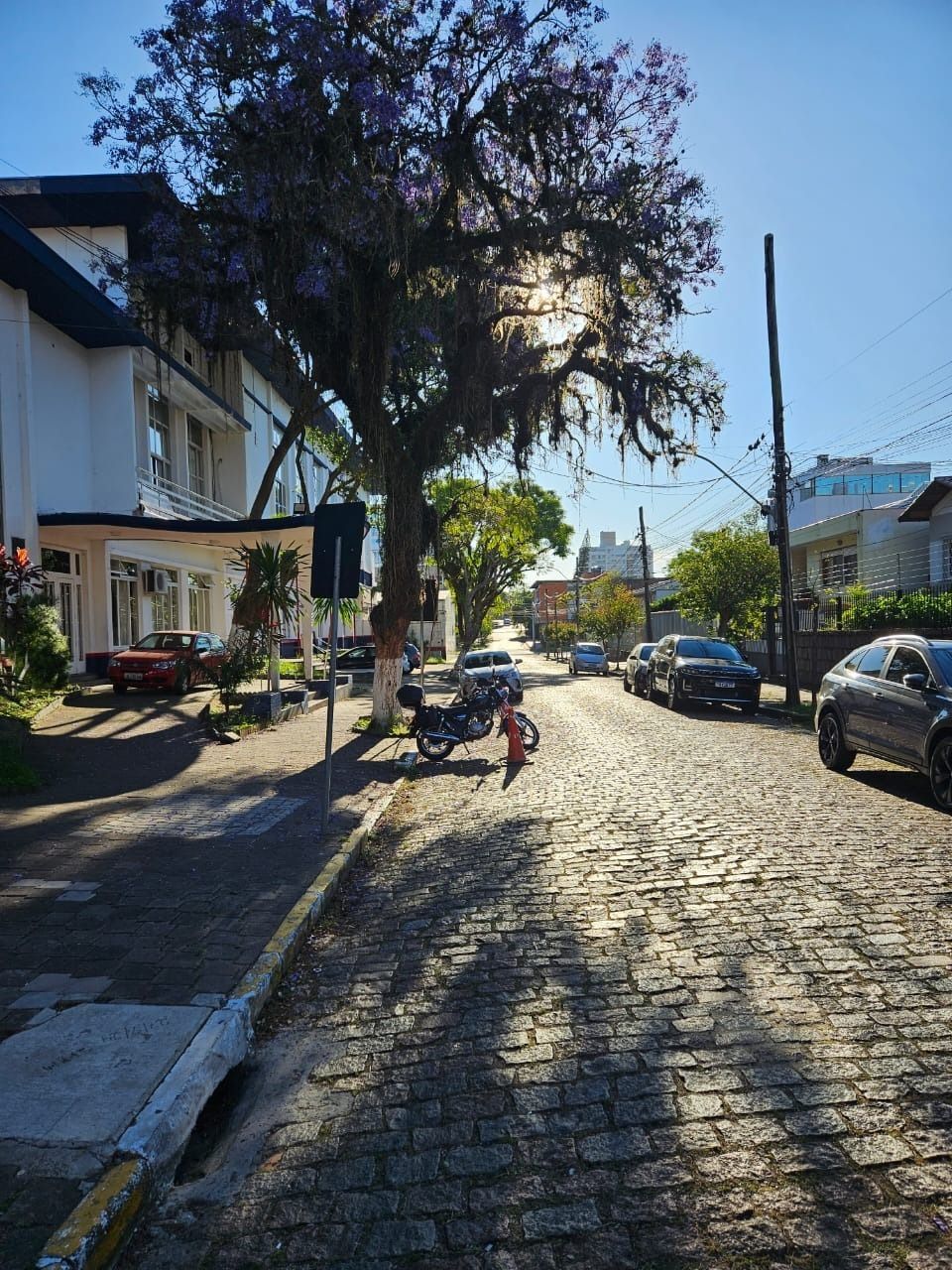 Casa 3 quartos à venda, 550m², Jardim Lindóia - Porto Alegre — foto 3