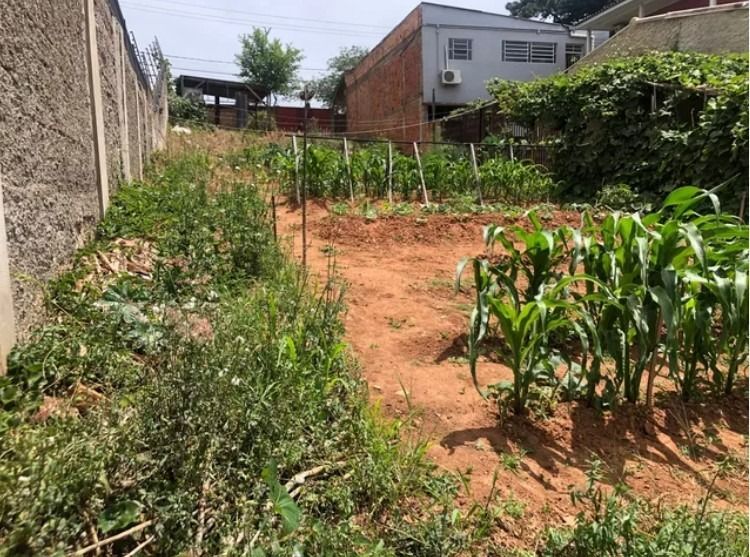 Terreno à venda, Jardim Floresta - Porto Alegre — foto 4