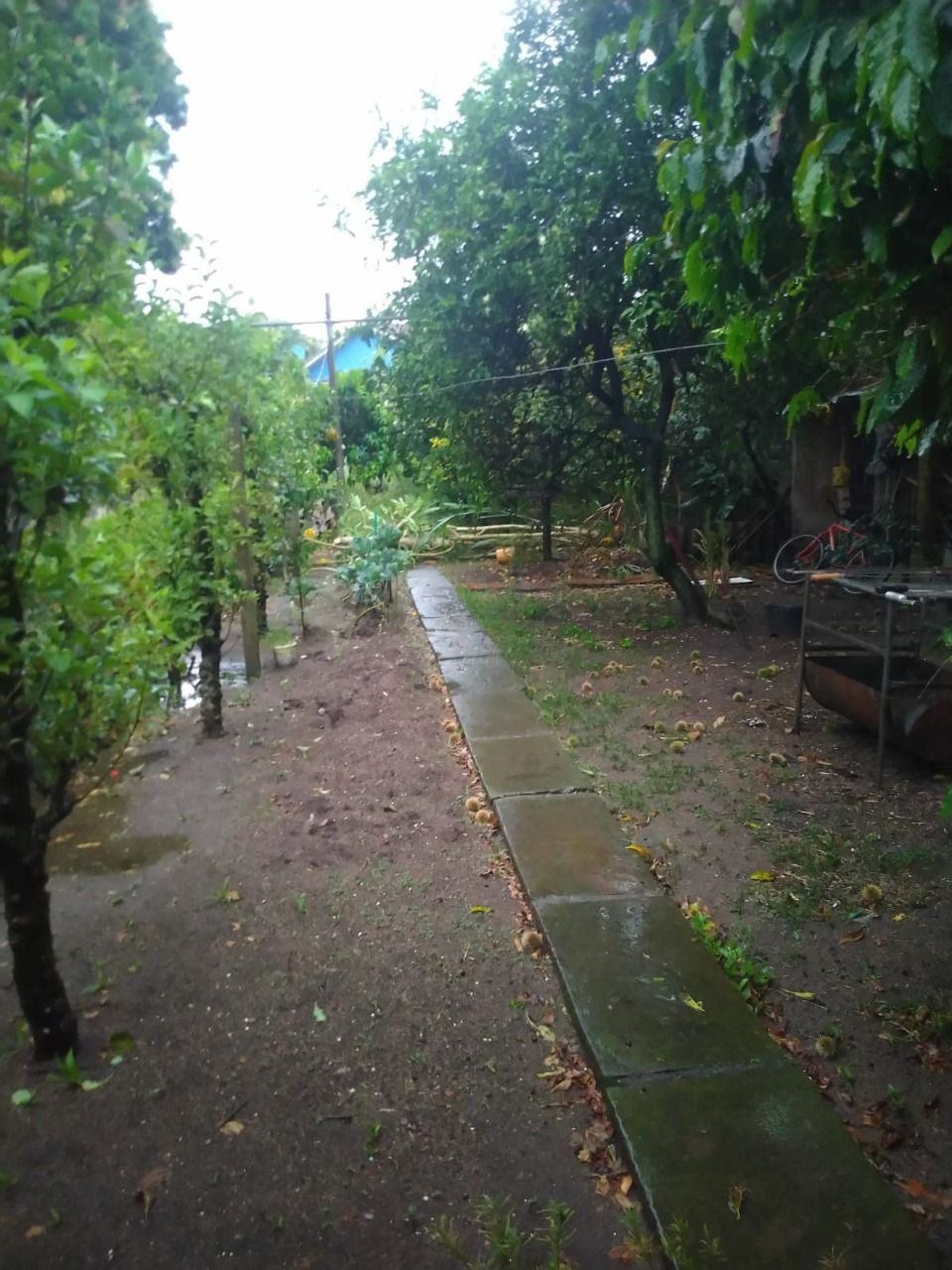 Terreno à venda, Guarujá - Porto Alegre — foto 3