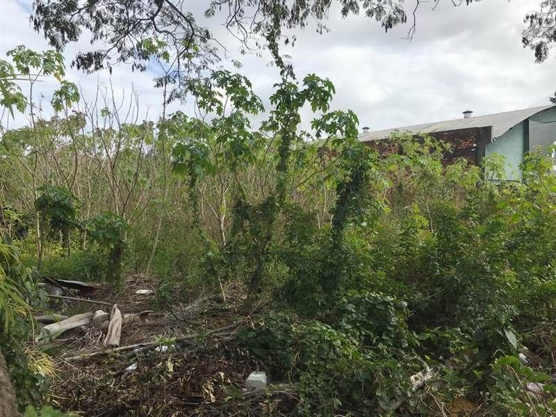 Terreno à venda, Sarandi - Porto Alegre — foto 3
