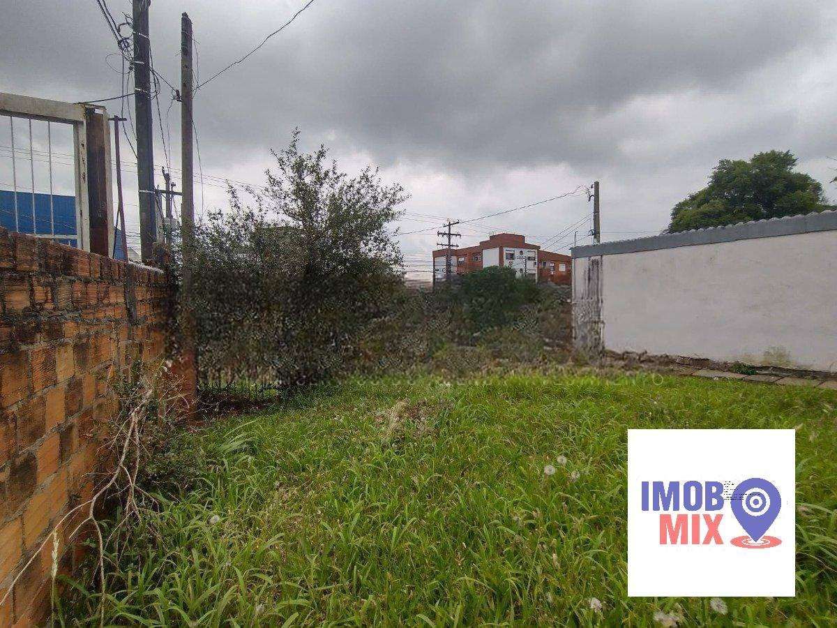 Terreno à venda, 890m², Vila Ipiranga - Porto Alegre — foto 2