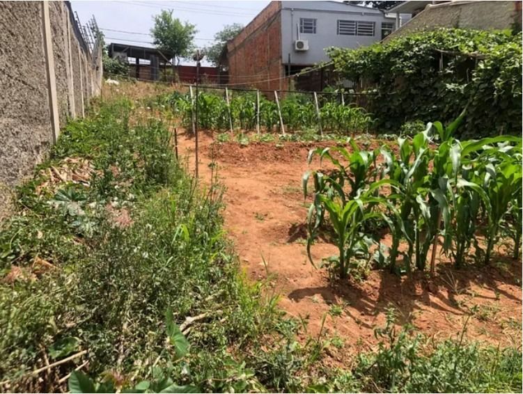 Terreno à venda, Jardim Floresta - Porto Alegre — foto 3