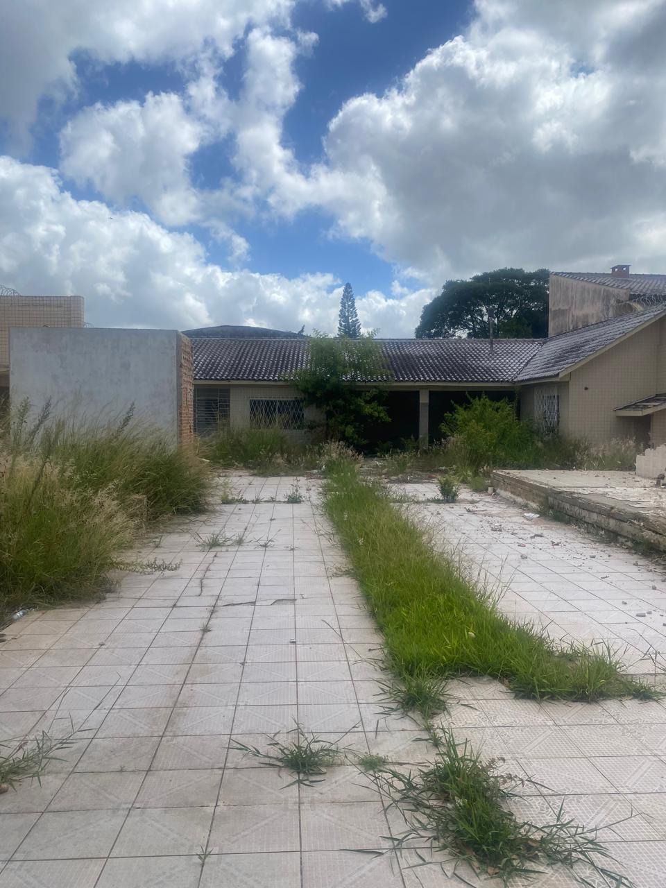 Terreno à venda, Vila Ipiranga - Porto Alegre — foto 5