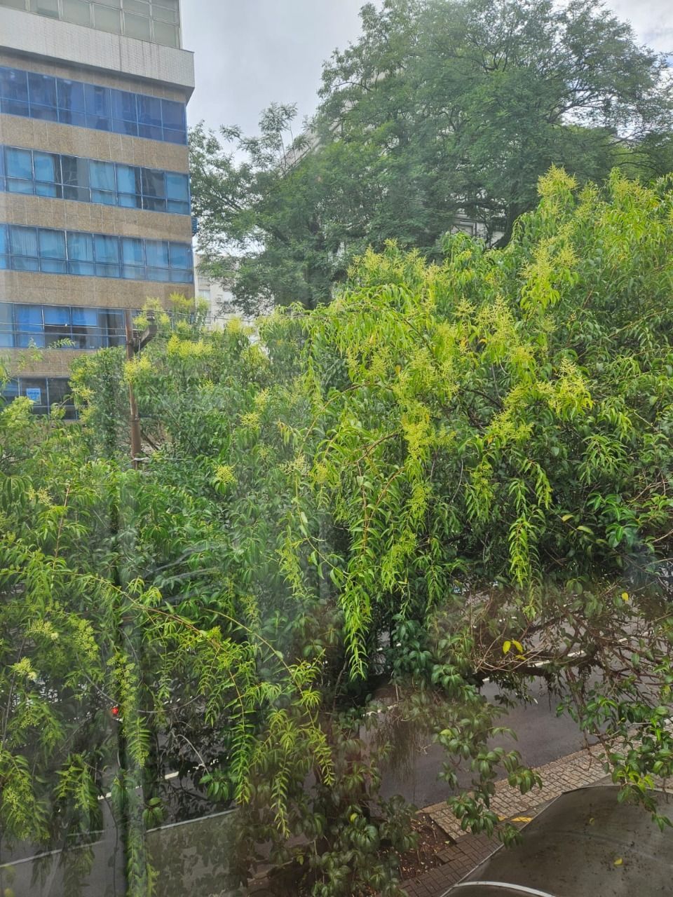 Loja à venda, 73m², Moinhos de Vento - Porto Alegre — foto 5