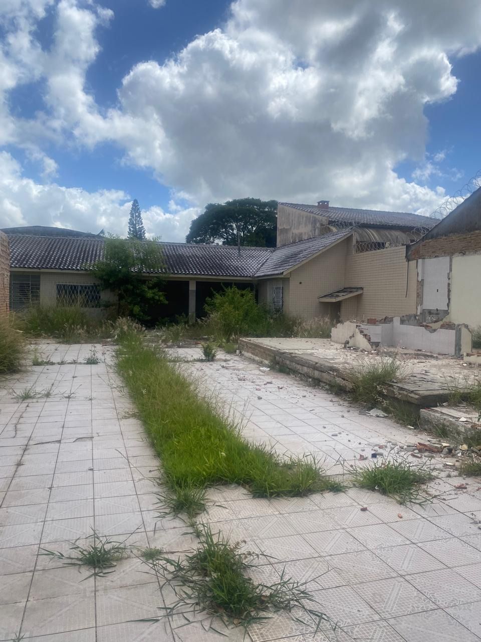 Terreno à venda, Vila Ipiranga - Porto Alegre — foto 3