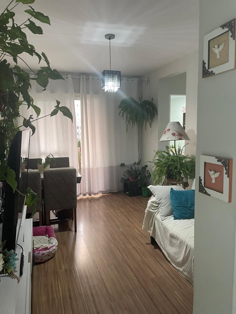 Apartamento 2 quartos à venda, 53m², Sarandi - Porto Alegre — foto 3