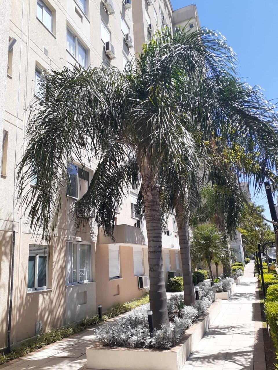 Apartamento 2 quartos à venda, 50m², Sarandi - Porto Alegre — foto 4