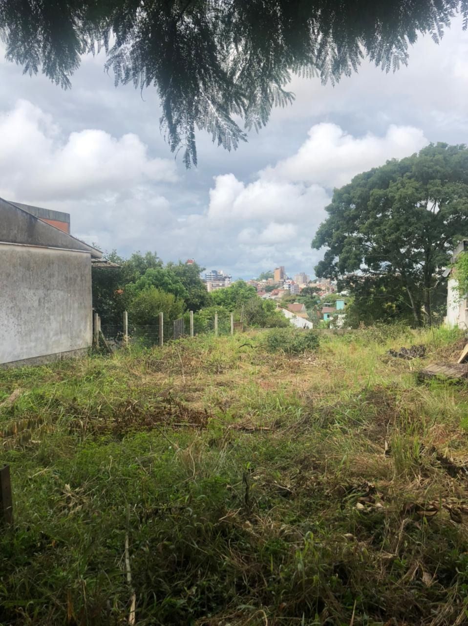 Terreno à venda, Vila Ipiranga - Porto Alegre — foto 4