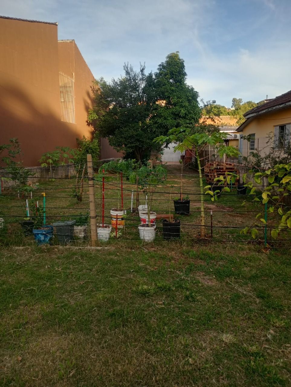 Terreno à venda, Jardim Floresta - Porto Alegre — foto 2