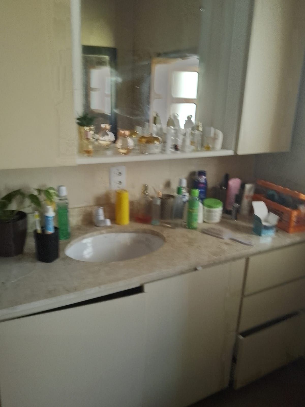 Casa, 4 quartos, 450 m² - Foto 11