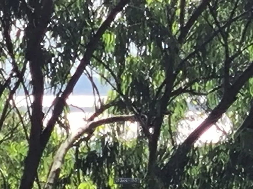 Sítio no Parque Florestal em Itapuã — foto 4