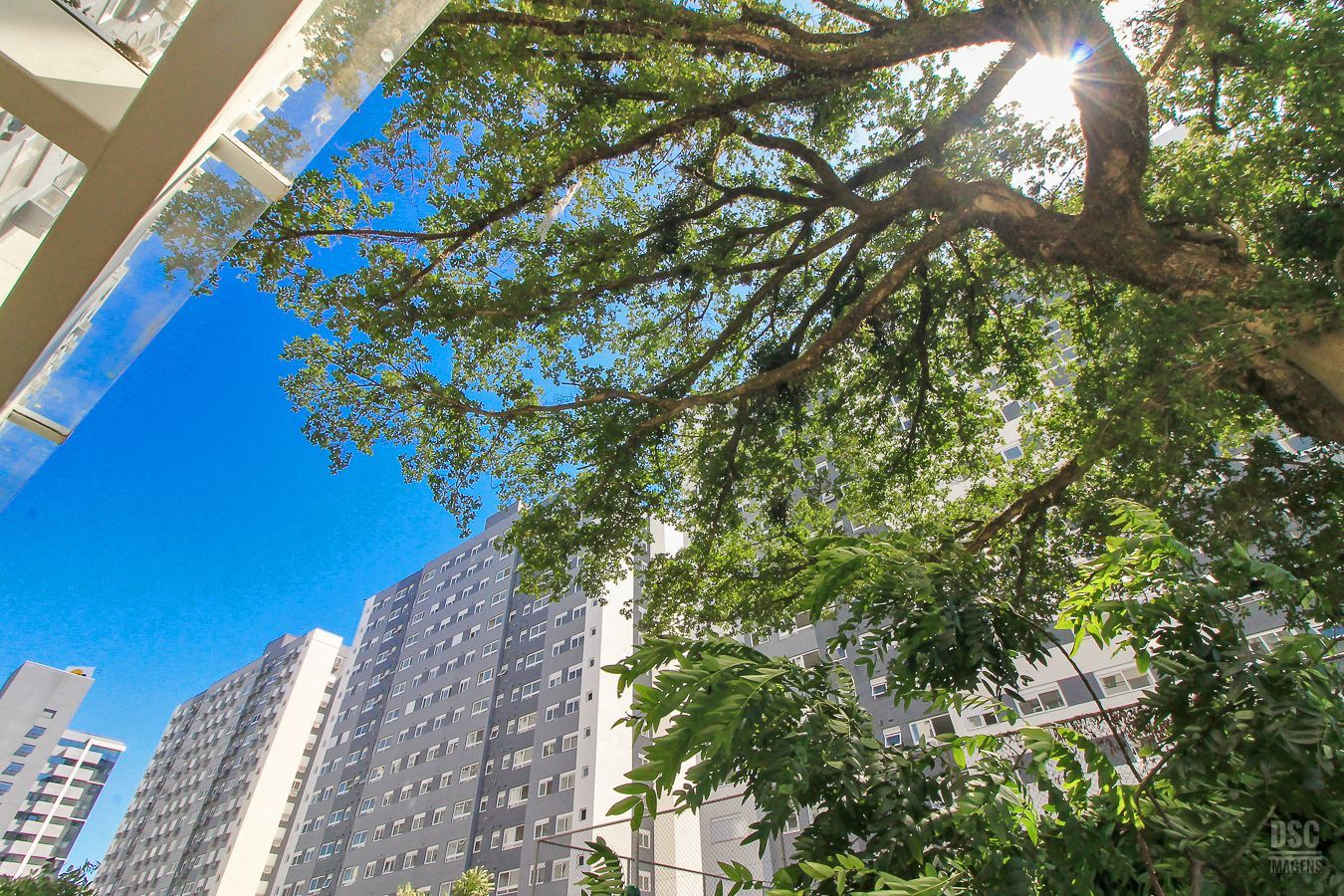 Apartamento à venda com 3 quartos, 81m² - Foto 50